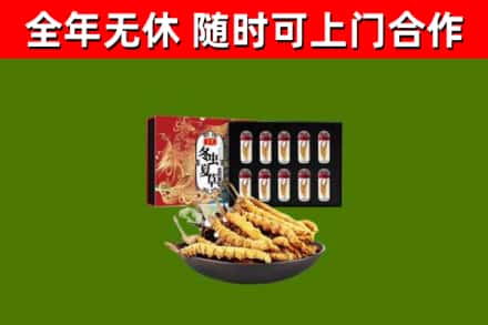 文水烟酒回收冬虫夏草礼盒.jpg